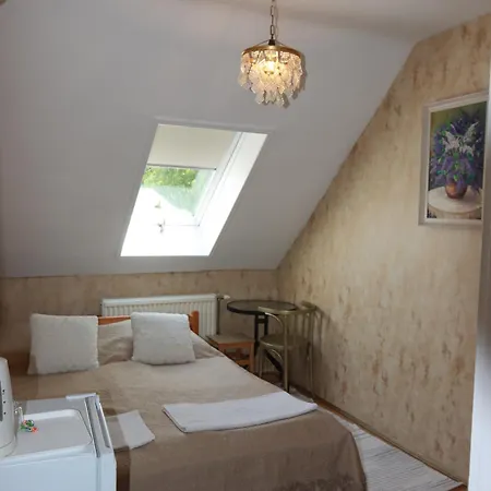 Arany Dio Fogado Accommodatie bij particulieren Eger