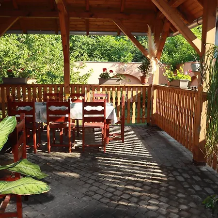 Arany Dió Homestay szállás