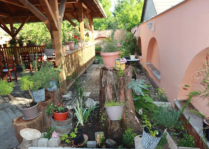 Arany Dió Homestay szállás *