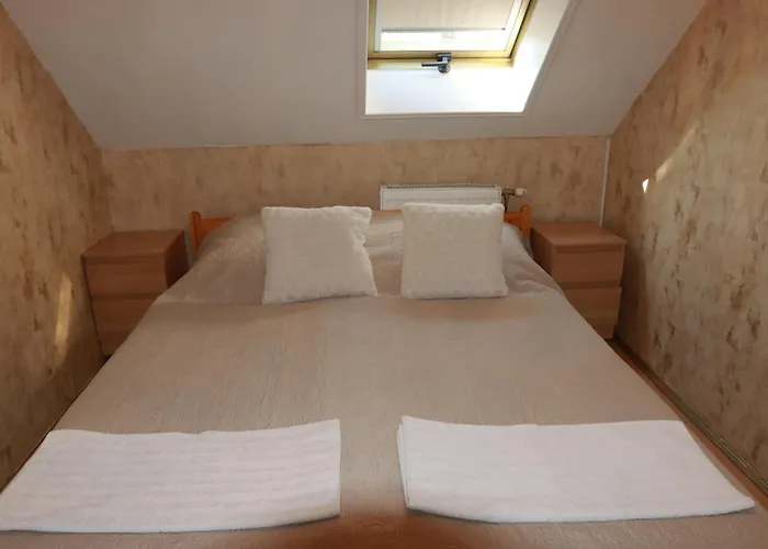 Arany Dió Homestay szállás