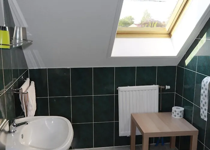 Arany Dió Homestay szállás