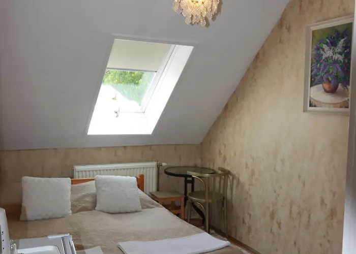 Arany Dió Homestay szállás Eger